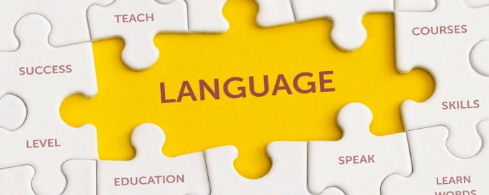 An Introduction to Language